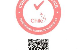 Los Gualles de la Candelaria Apart Hotel